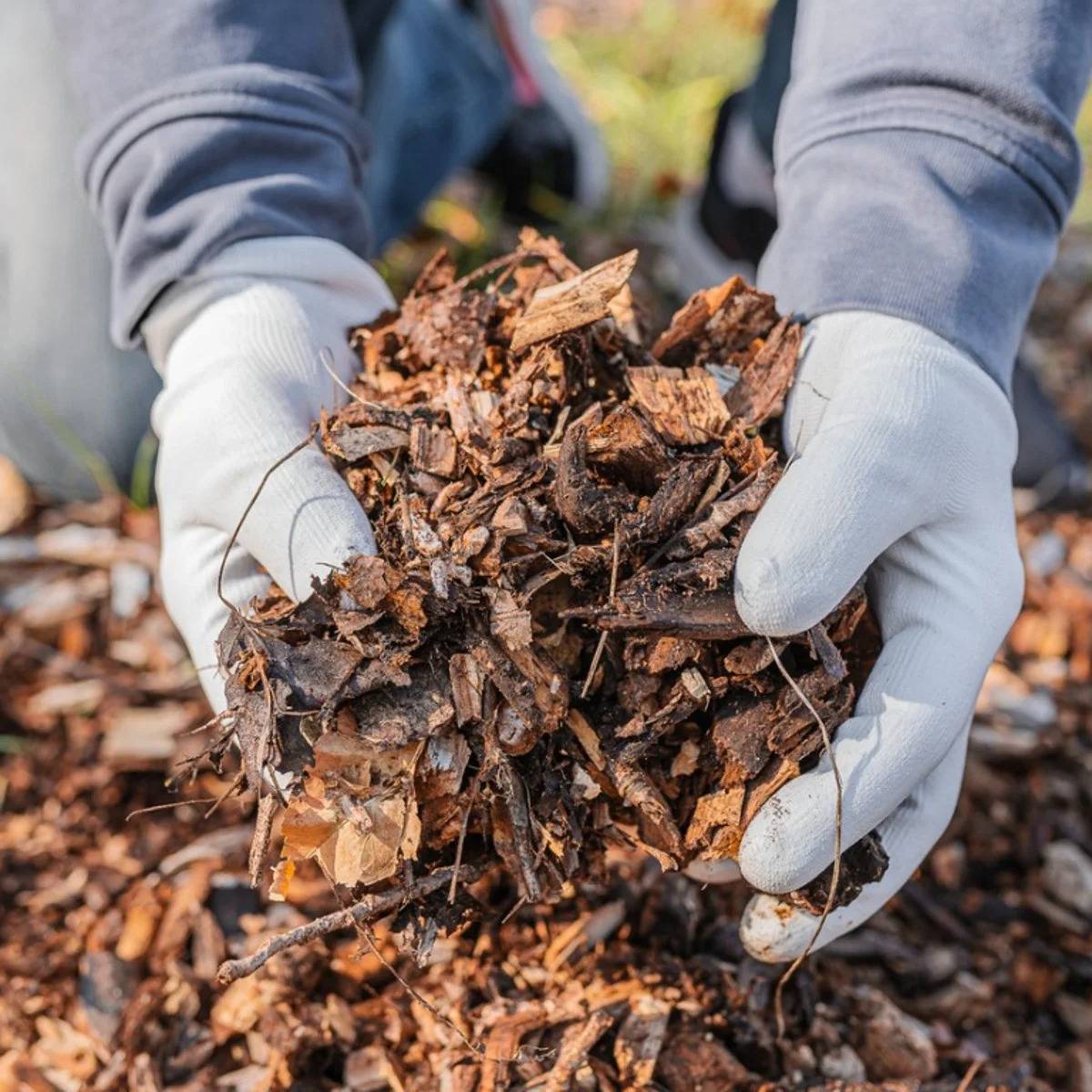 sustainable mulch